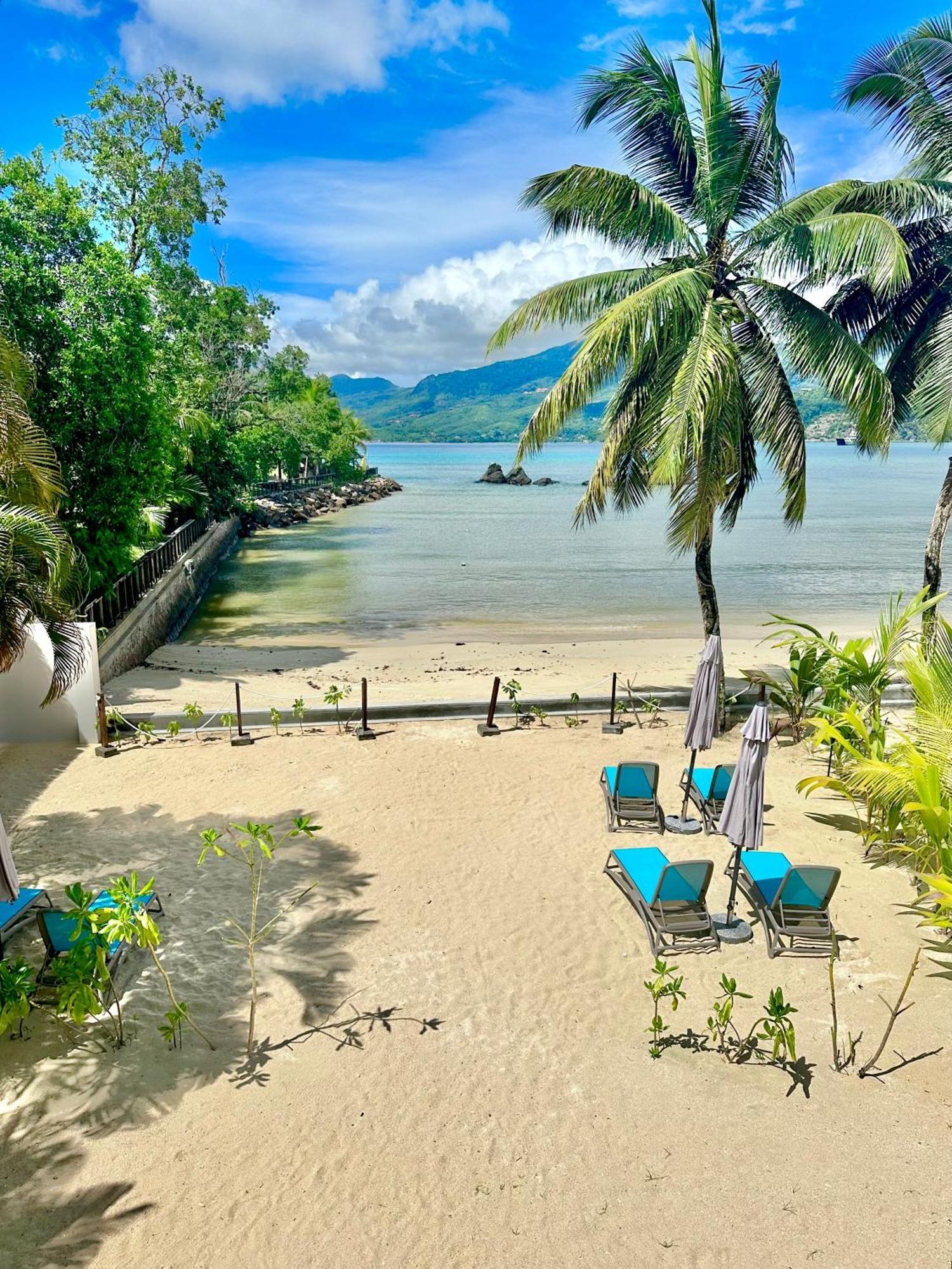 Pineapple Baie Lazare (Mahe)